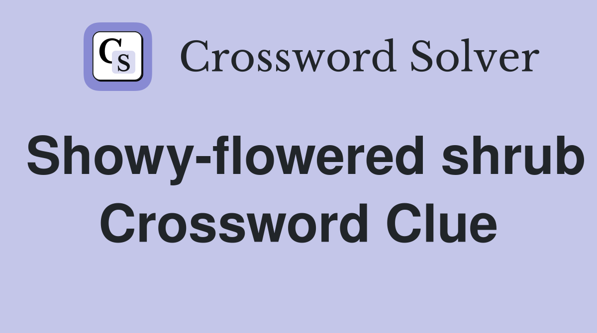 Showy-flowered shrub Crossword Clue