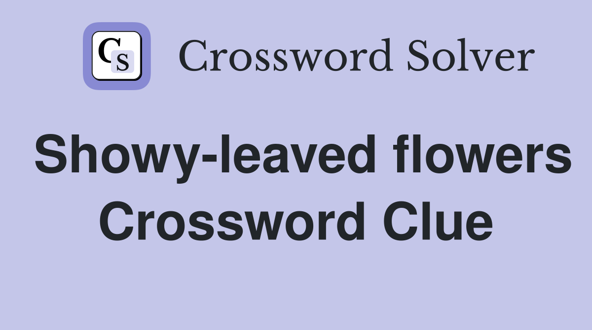 Showy-leaved flowers Crossword Clue