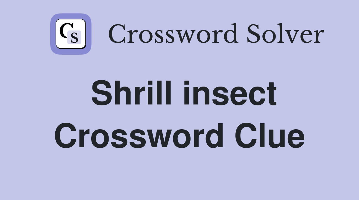 Shrill insect Crossword Clue
