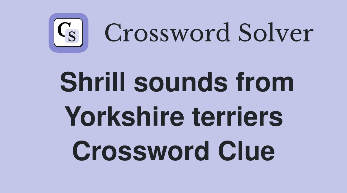 Shrill sounds from Yorkshire terriers Crossword Clue