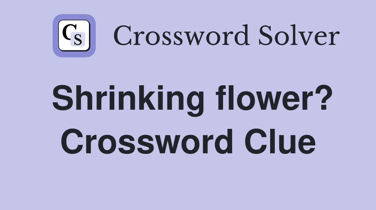 Shrinking flower? Crossword Clue