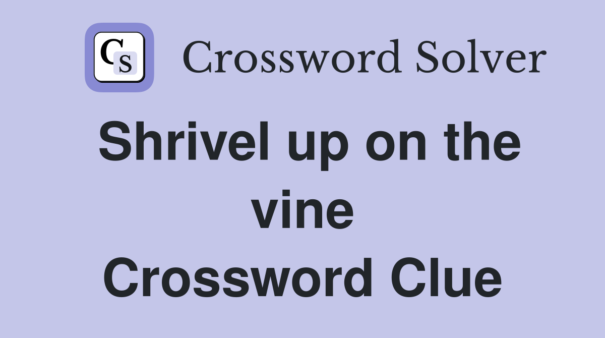 Shrivel up on the vine Crossword Clue