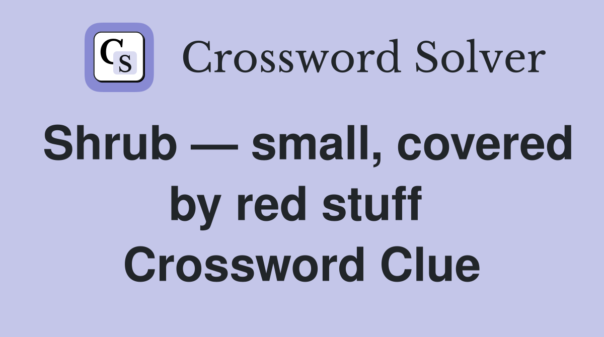 Shrub — small, covered by red stuff  Crossword Clue