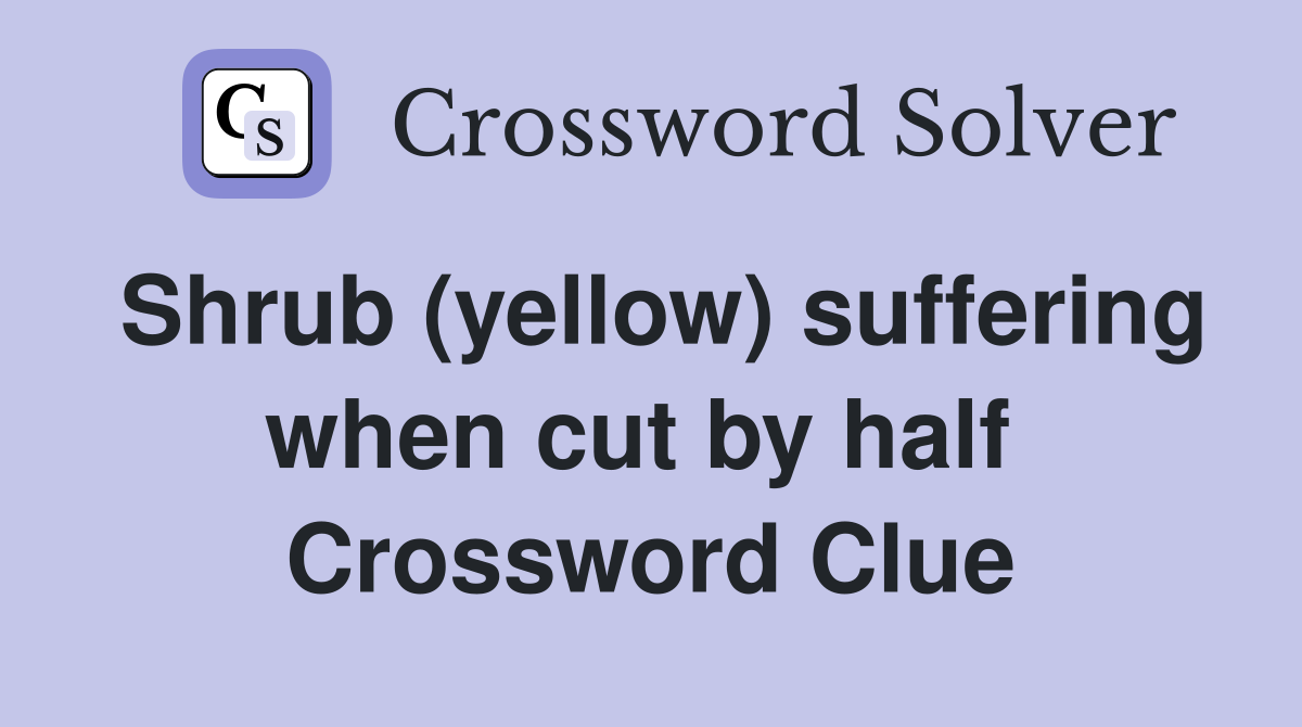 Shrub (yellow) suffering when cut by half  Crossword Clue