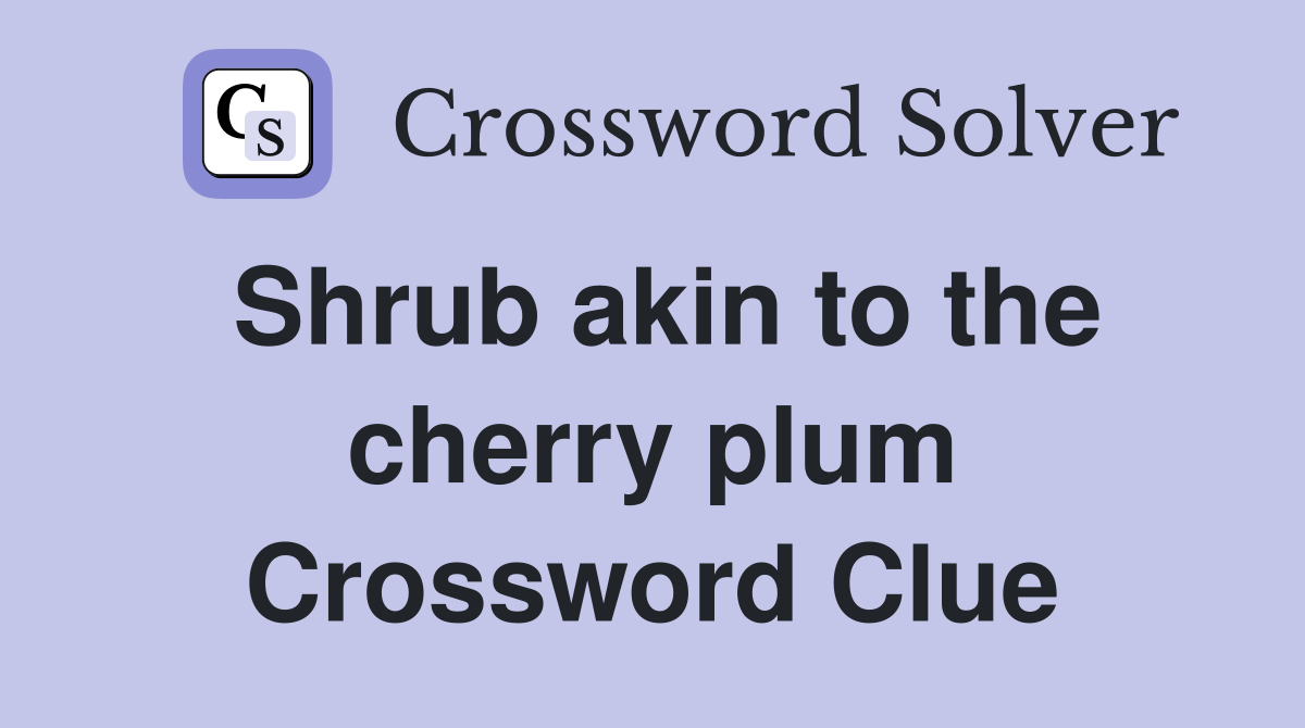 Shrub akin to the cherry plum Crossword Clue