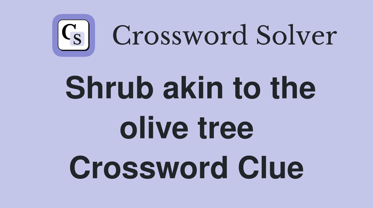 Shrub akin to the olive tree Crossword Clue