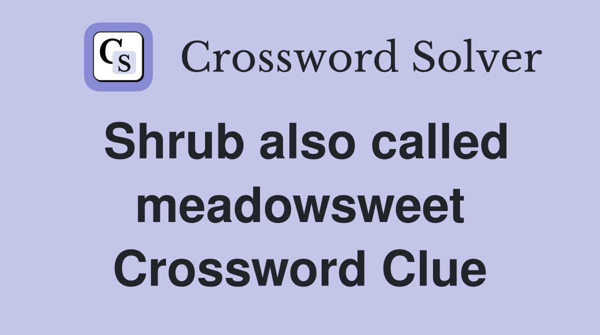 Shrub also called meadowsweet Crossword Clue