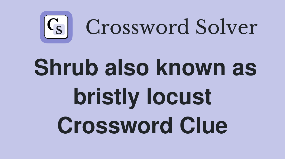 Shrub also known as bristly locust Crossword Clue
