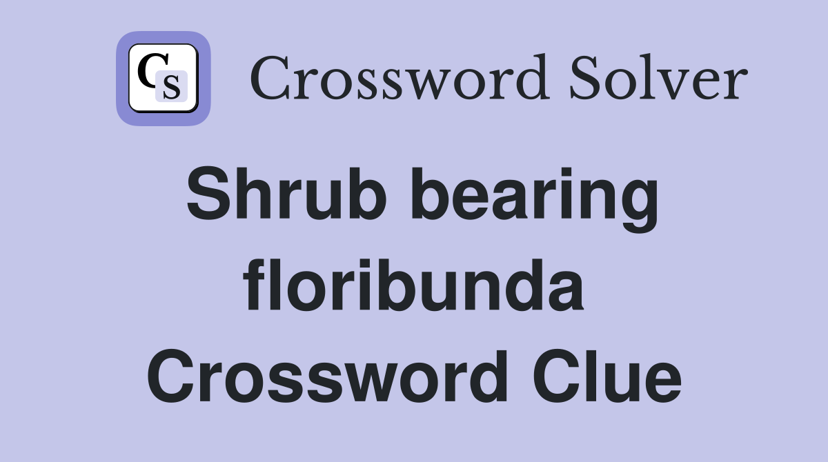 Shrub bearing floribunda Crossword Clue
