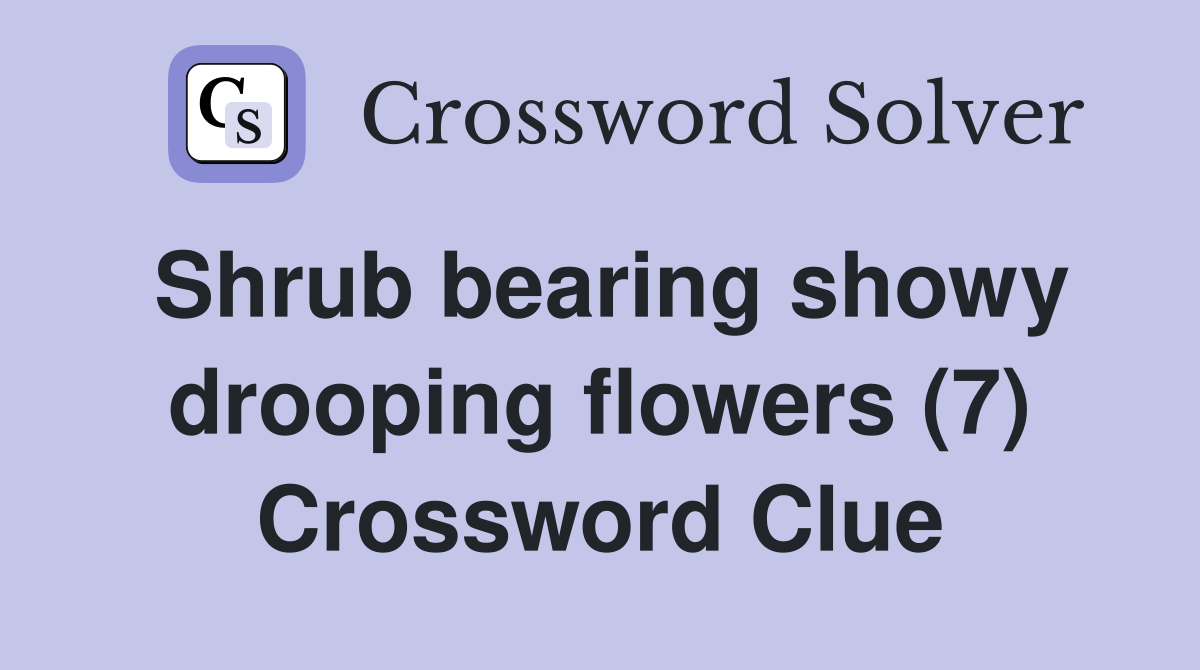 Shrub bearing showy drooping flowers (7) Crossword Clue