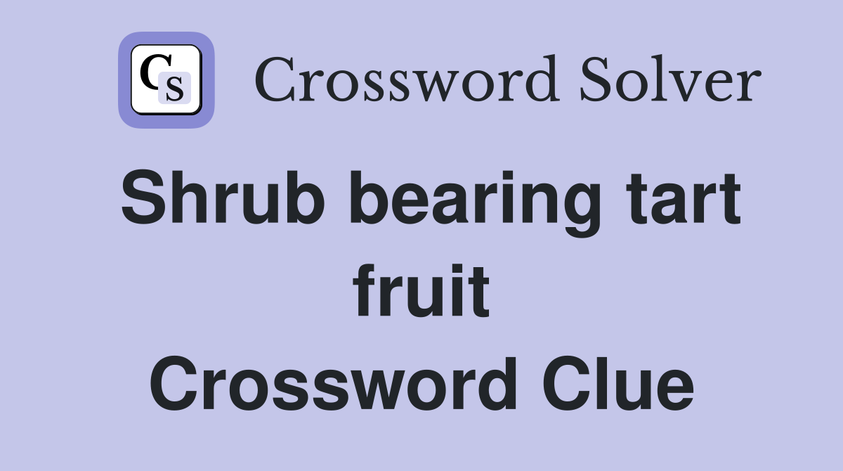 Shrub bearing tart fruit Crossword Clue