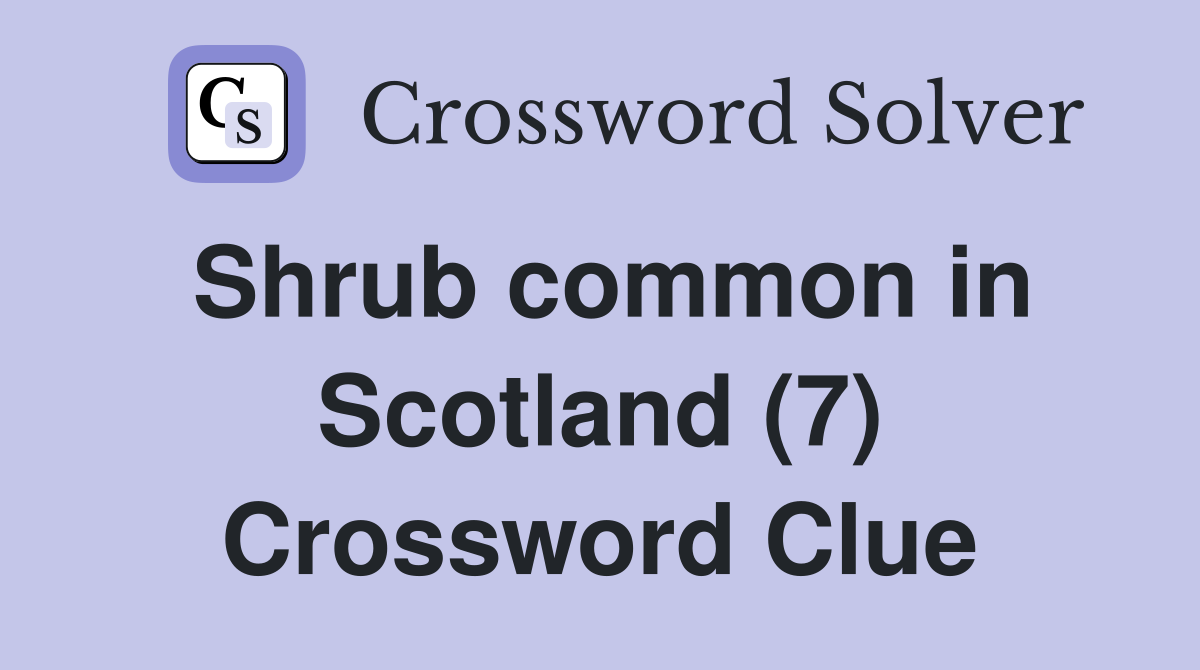 Shrub common in Scotland (7) Crossword Clue