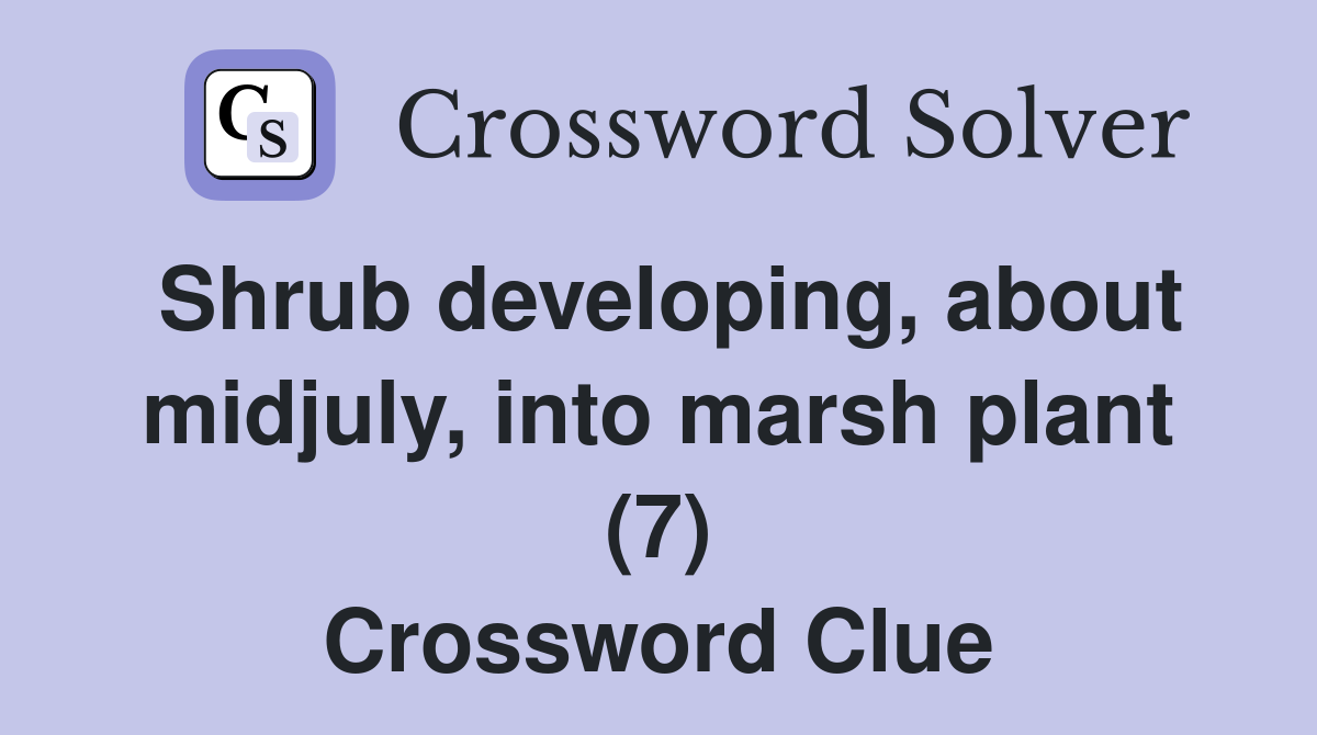 Shrub developing, about midjuly, into marsh plant (7) Crossword Clue