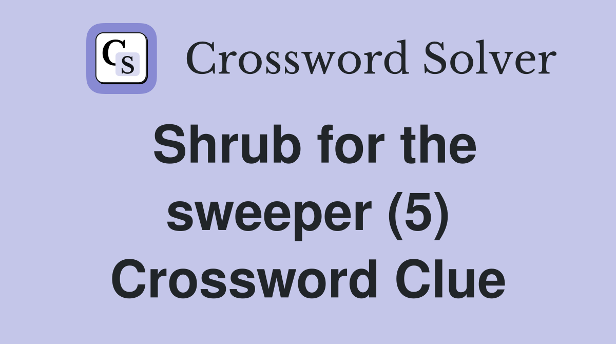 Shrub for the sweeper (5) Crossword Clue