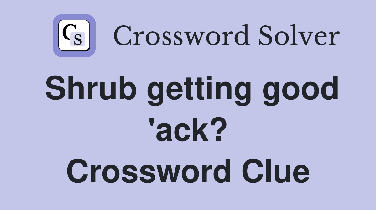 Shrub getting good 'ack? Crossword Clue