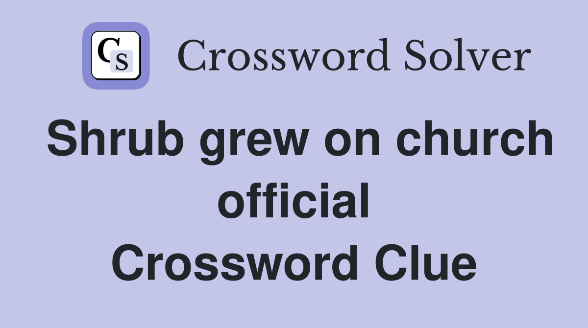Shrub grew on church official Crossword Clue