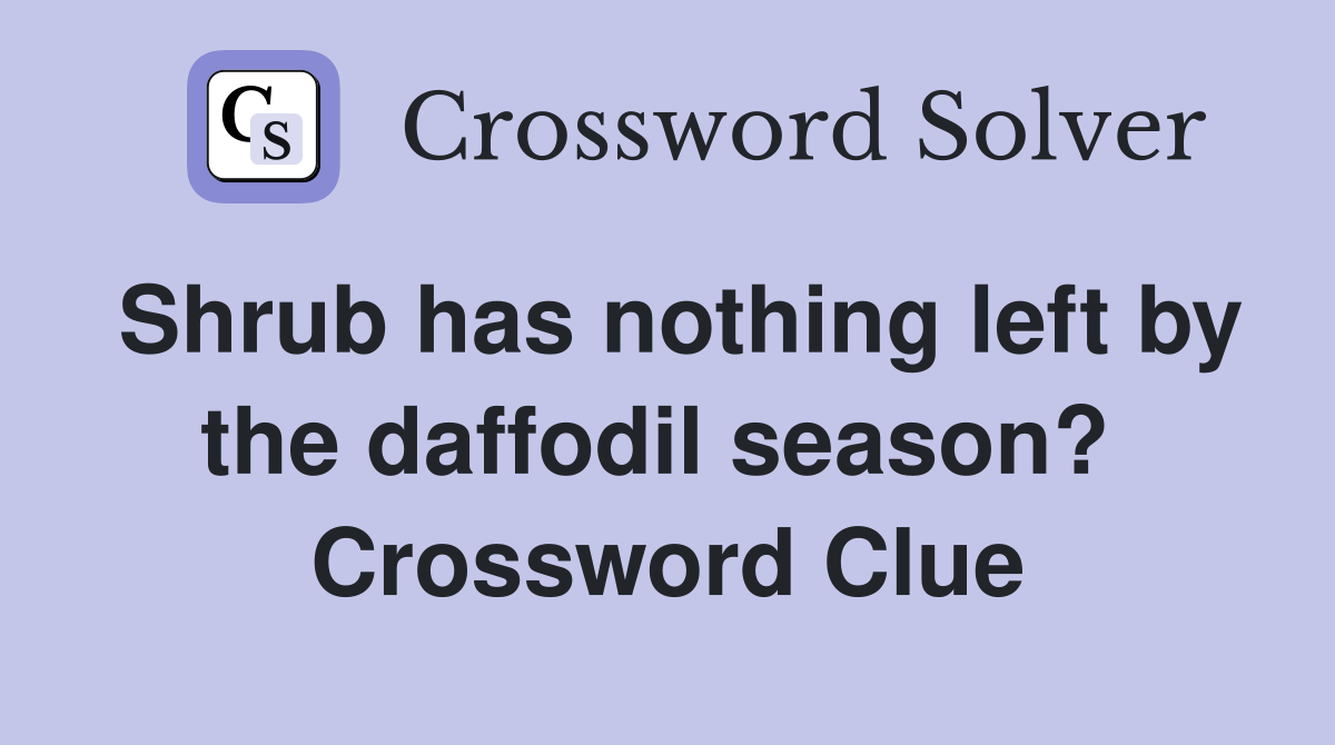 Shrub has nothing left by the daffodil season?  Crossword Clue