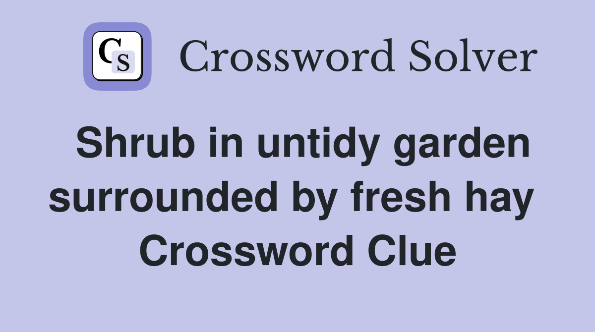 Shrub in untidy garden surrounded by fresh hay  Crossword Clue