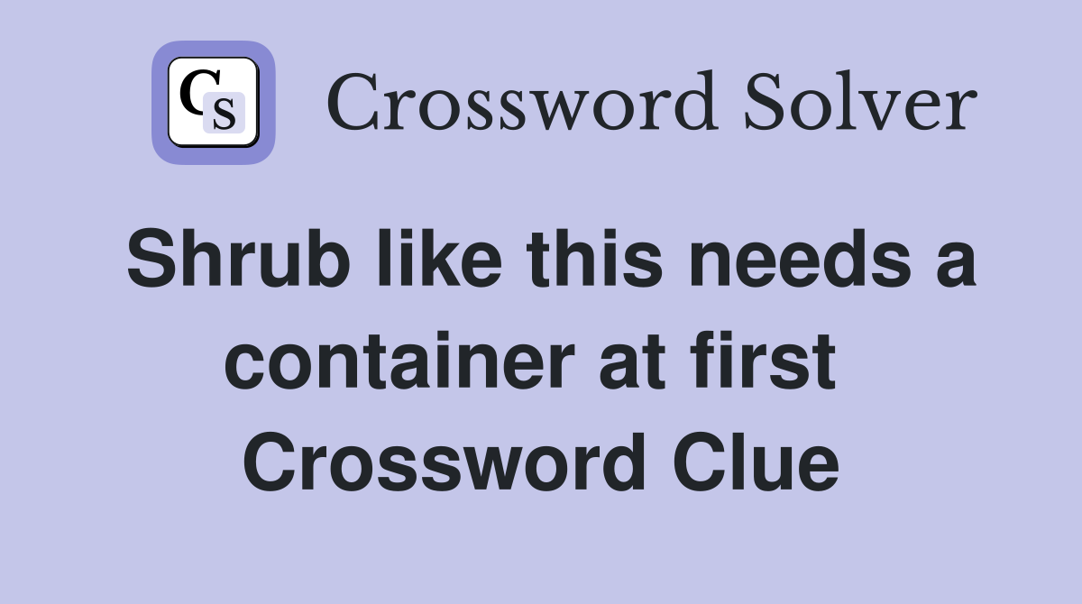 Shrub like this needs a container at first  Crossword Clue