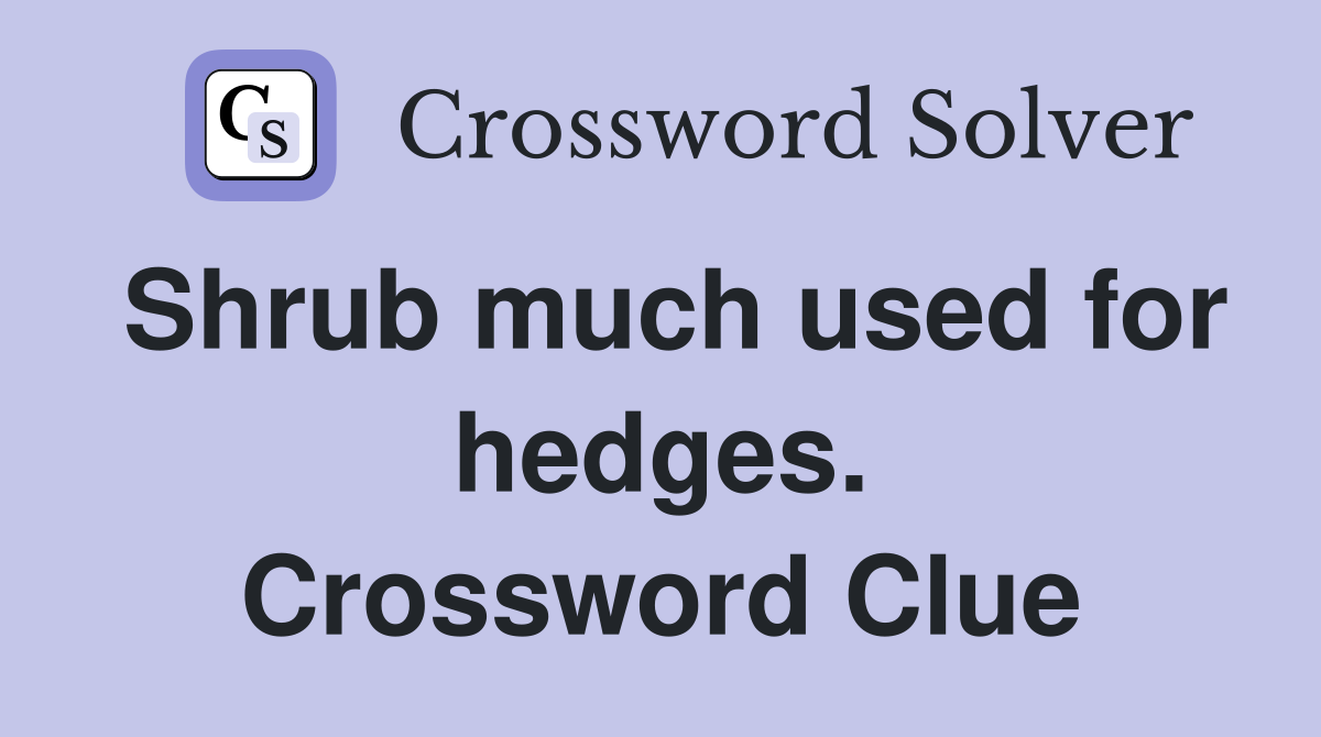 Shrub much used for hedges. Crossword Clue