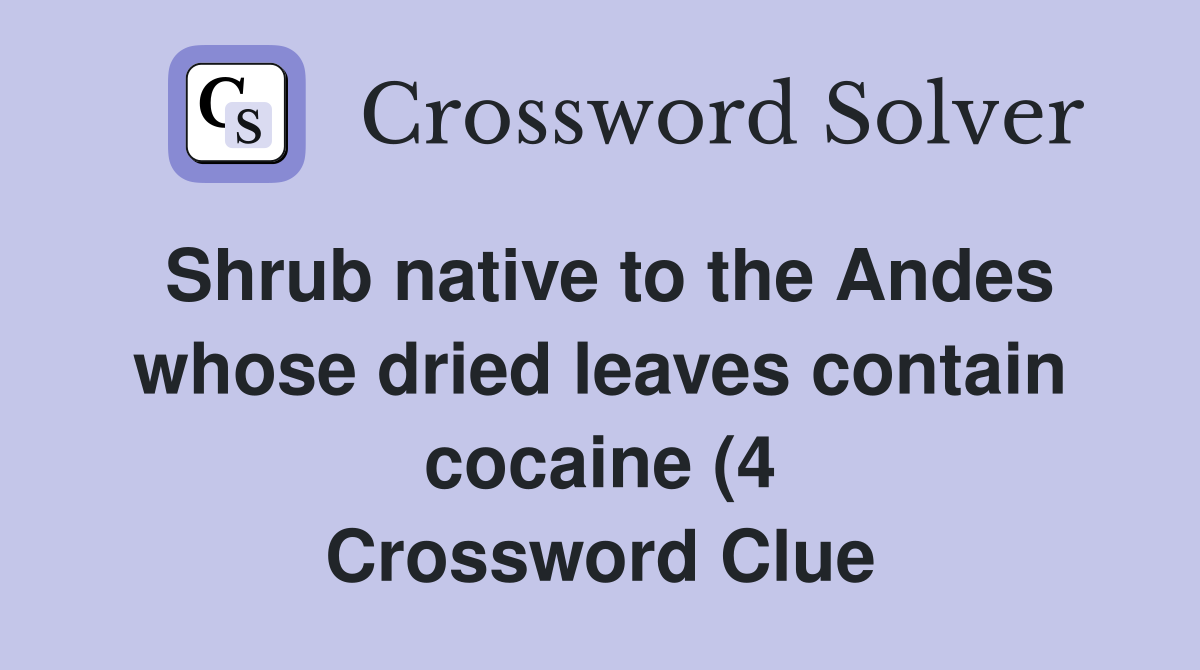 Shrub native to the Andes whose dried leaves contain cocaine (4 Shrub native to the Andes whose dried leaves contain cocaine (4