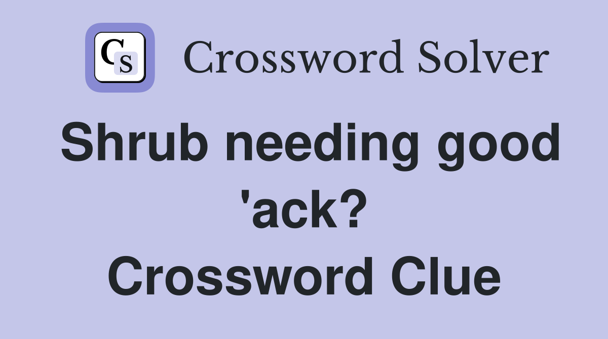 Shrub needing good 'ack? Crossword Clue