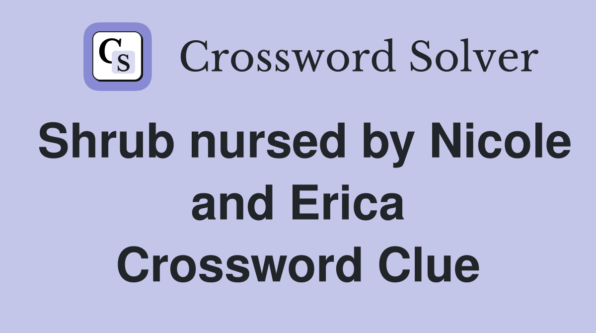 Shrub nursed by Nicole and Erica Crossword Clue