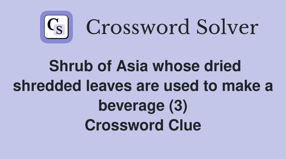 Shrub of Asia whose dried shredded leaves are used to make a beverage (3) Crossword Clue