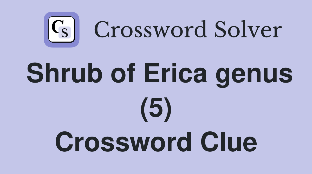 Shrub of Erica genus (5) Crossword Clue