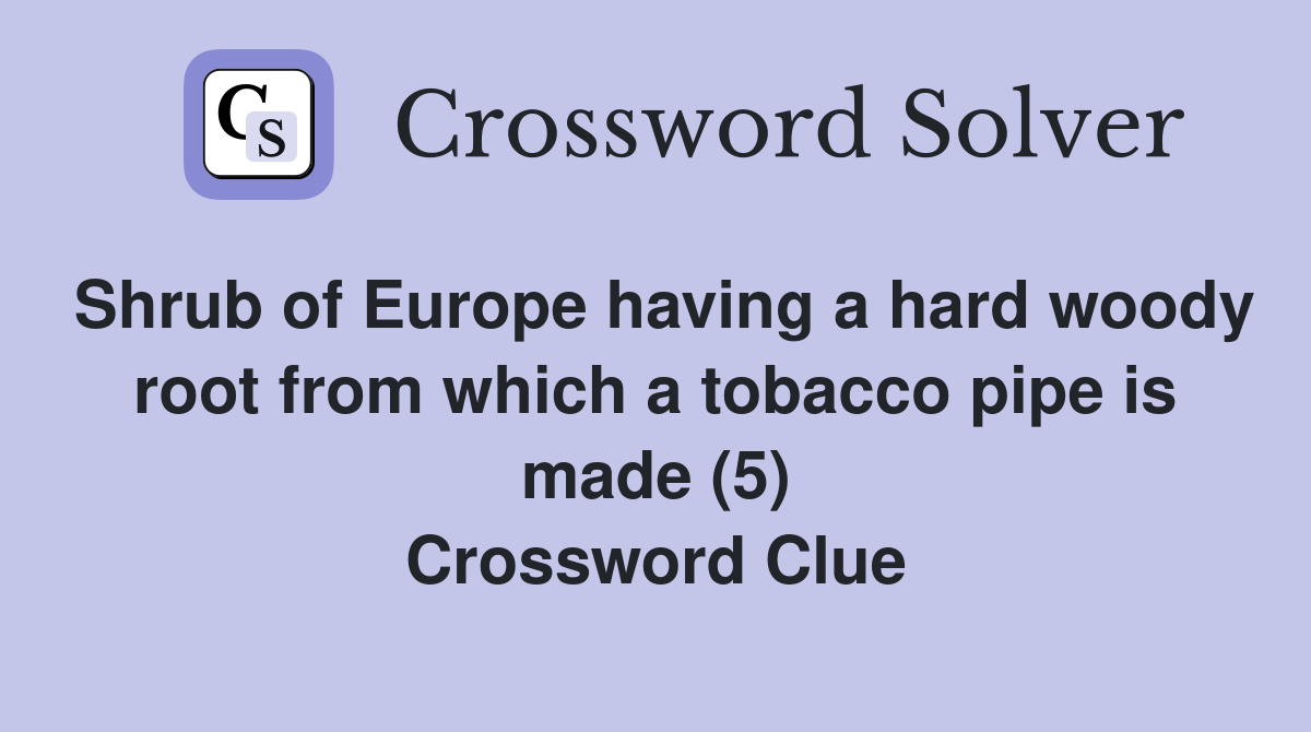 Shrub of Europe having a hard woody root from which a tobacco pipe is made (5) Crossword Clue