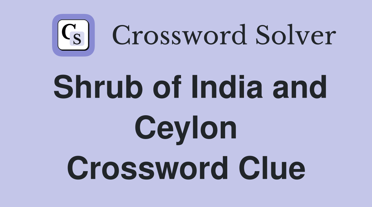 Shrub of India and Ceylon Crossword Clue