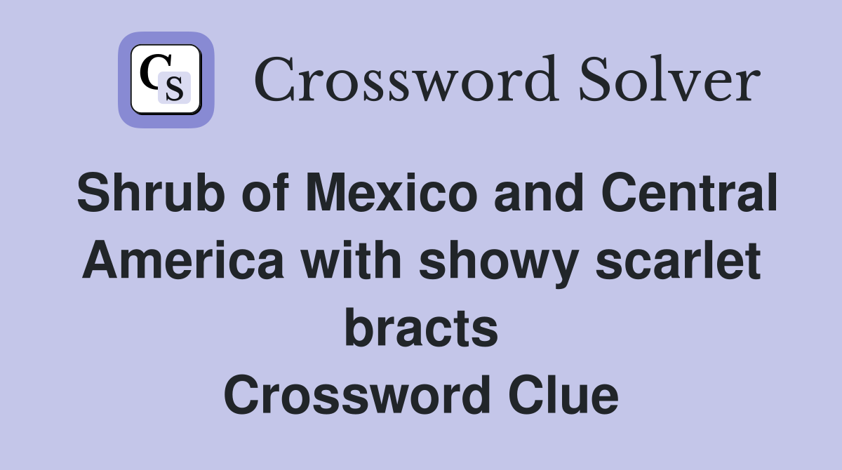 Shrub of Mexico and Central America with showy scarlet bracts Crossword Clue