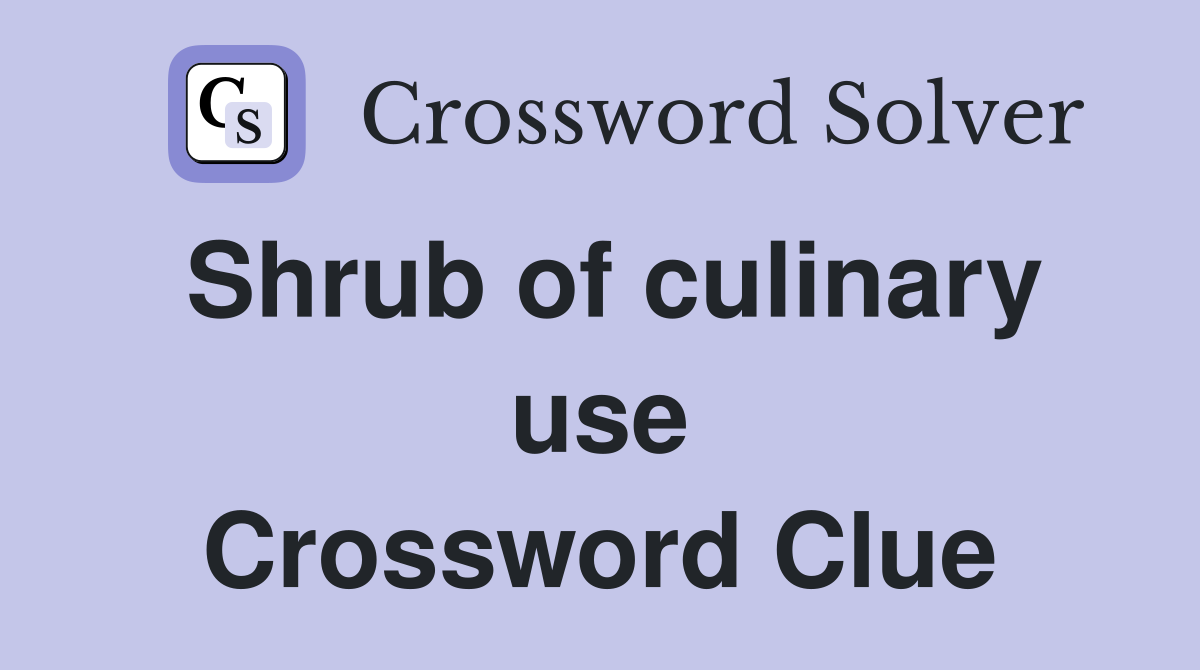 Shrub of culinary use Crossword Clue