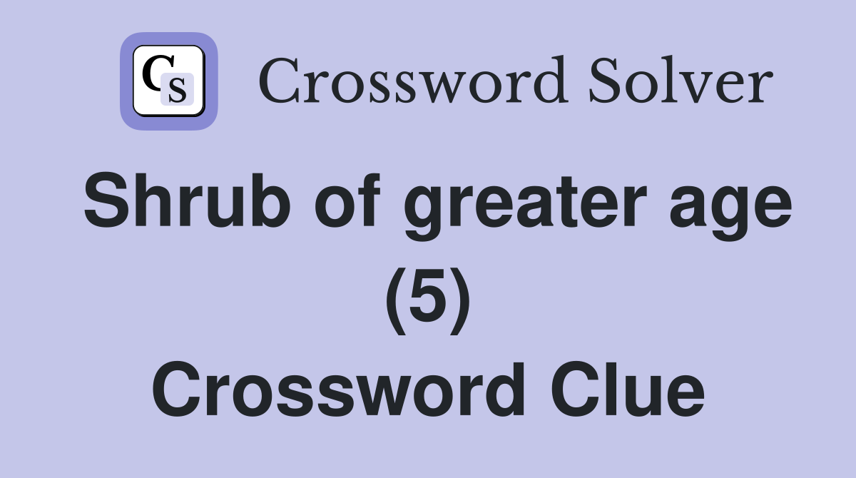 Shrub of greater age (5) Crossword Clue