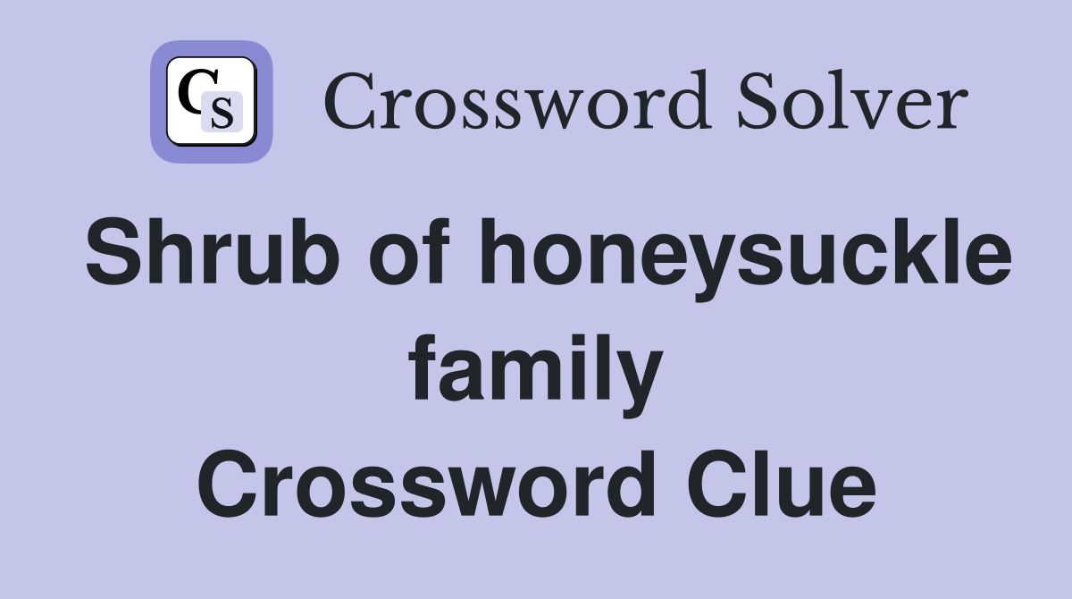 Shrub of honeysuckle family Crossword Clue