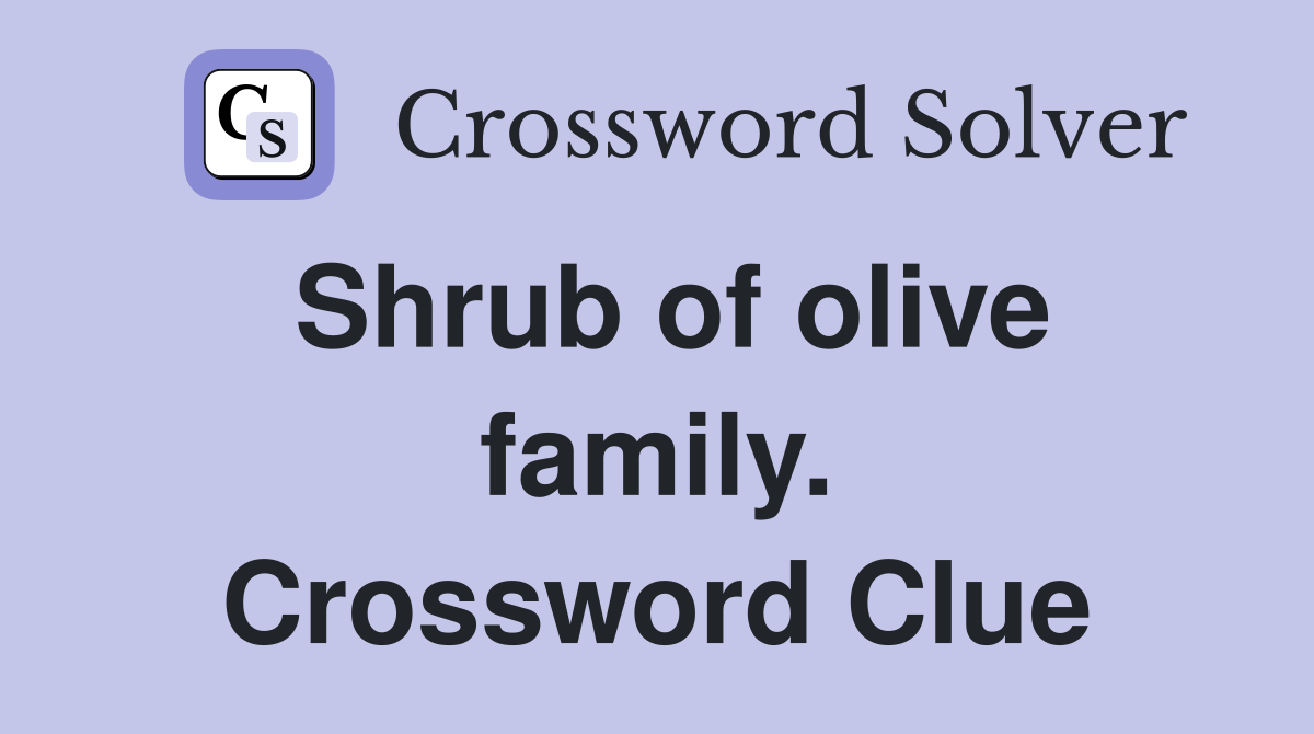 Shrub of olive family. Crossword Clue