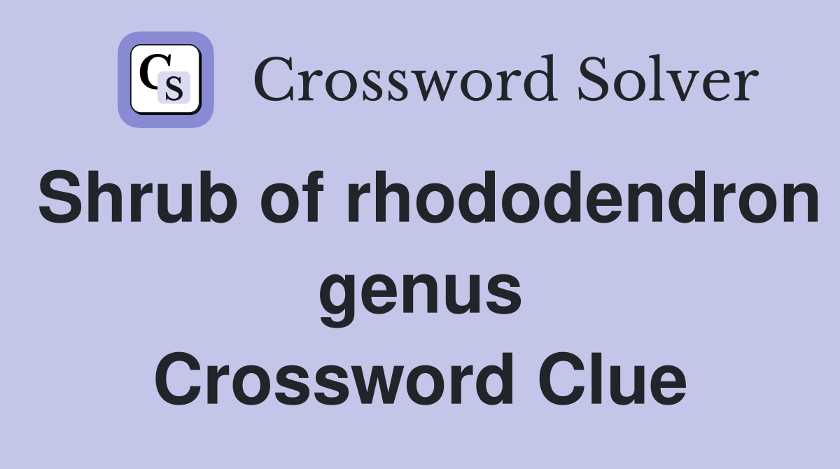 Shrub of rhododendron genus Crossword Clue