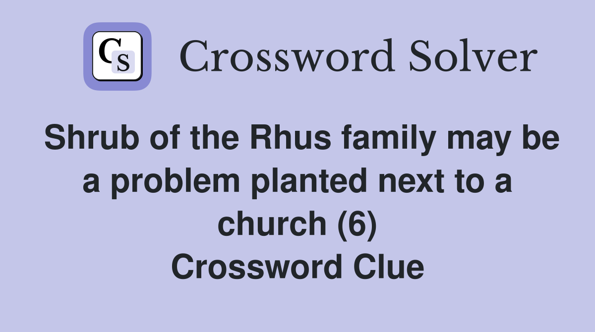 Shrub of the Rhus family may be a problem planted next to a church (6) Crossword Clue