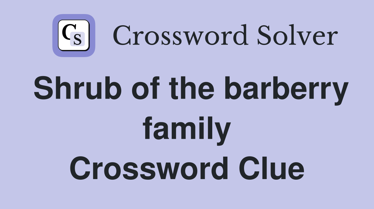 Shrub of the barberry family Crossword Clue