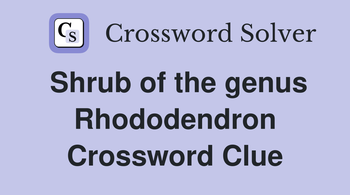 Shrub of the genus Rhododendron Crossword Clue