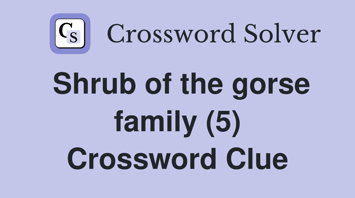 Shrub of the gorse family (5) Crossword Clue