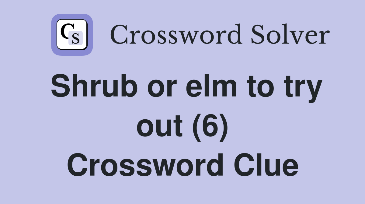 Shrub or elm to try out (6) Crossword Clue