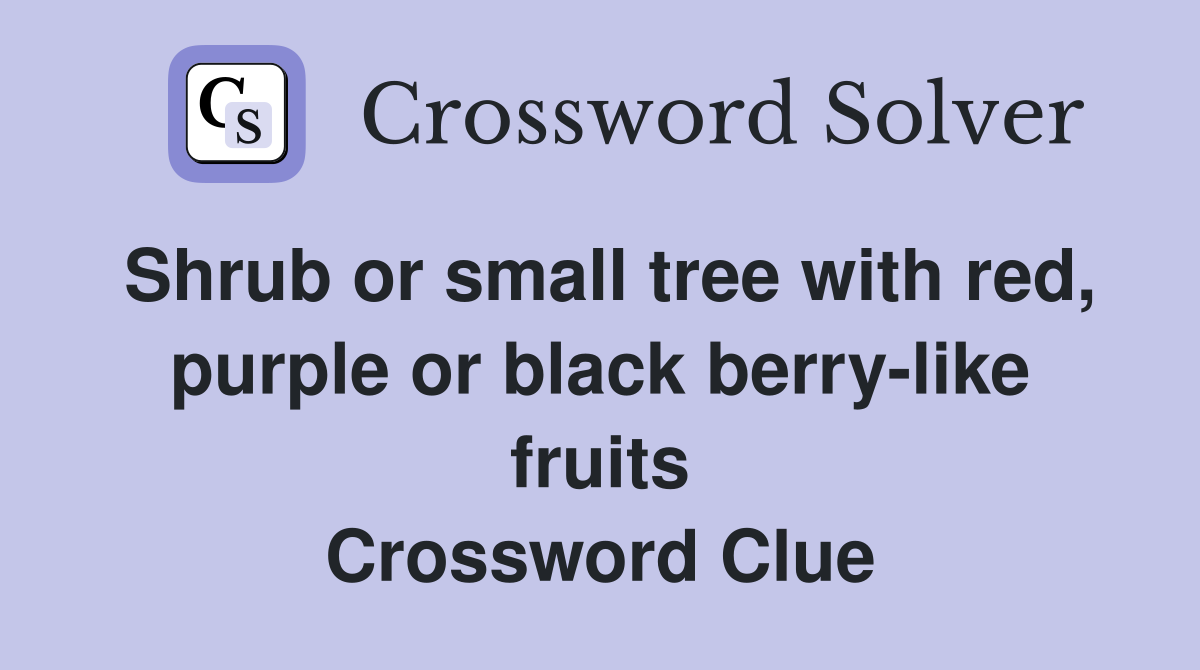Shrub or small tree with red, purple or black berry-like fruits Crossword Clue