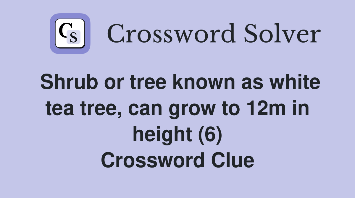 Shrub or tree known as white tea tree, can grow to 12m in height (6) Crossword Clue