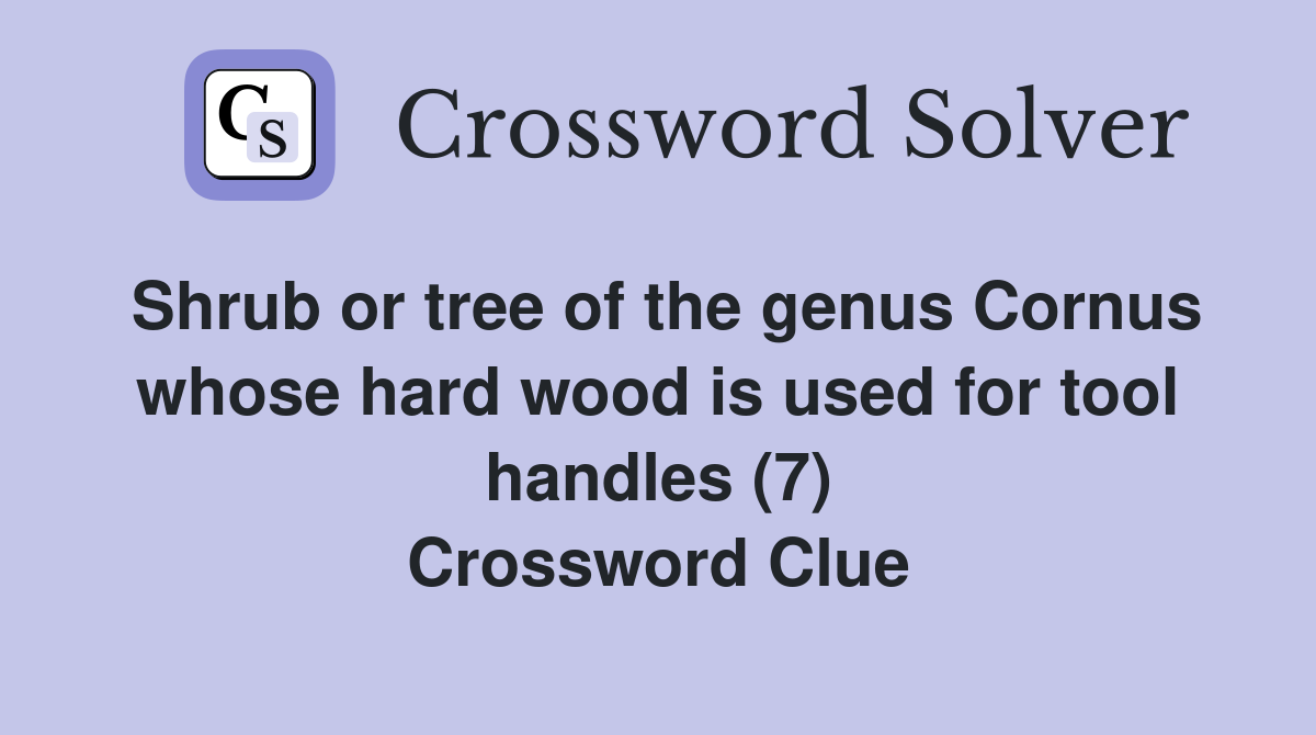 Shrub or tree of the genus Cornus whose hard wood is used for tool handles (7) Crossword Clue