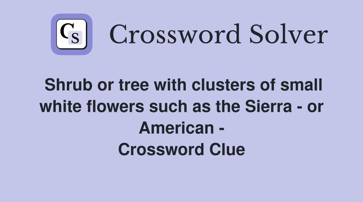 Shrub or tree with clusters of small white flowers such as the Sierra - or American - Crossword Clue