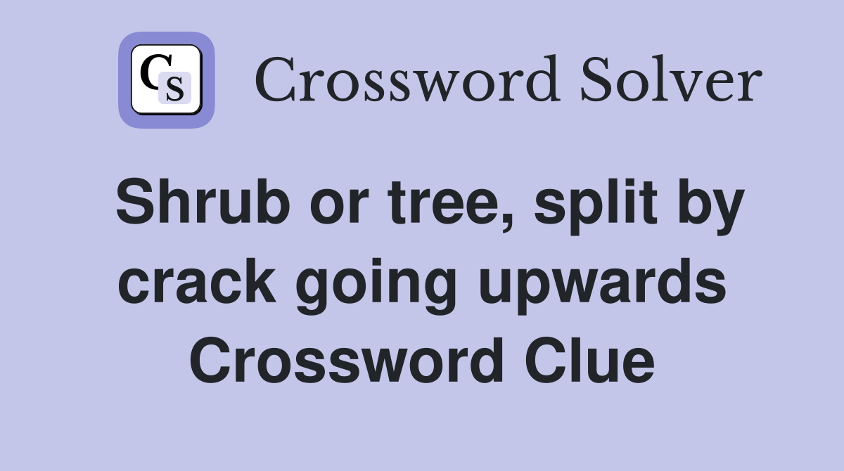 Shrub or tree, split by crack going upwards Crossword Clue