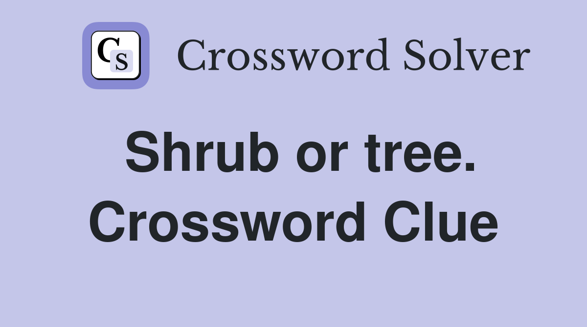 Shrub or tree. Crossword Clue