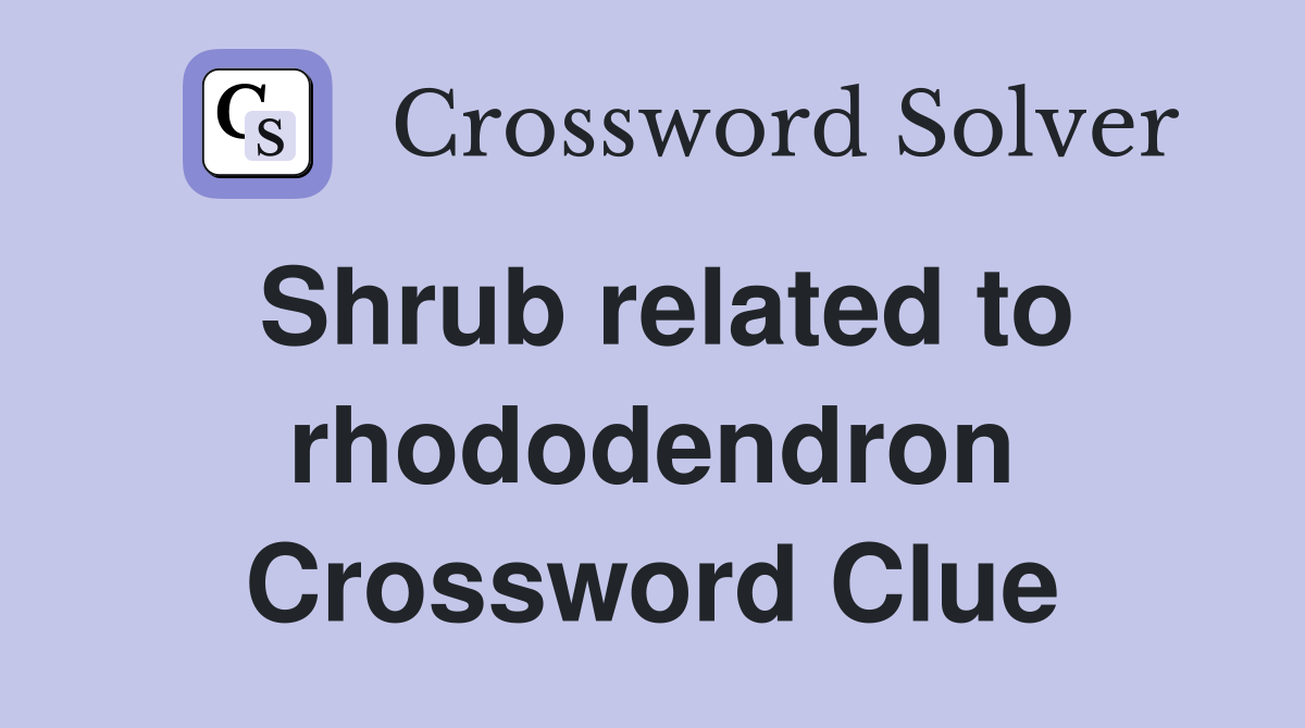 Shrub related to rhododendron Crossword Clue