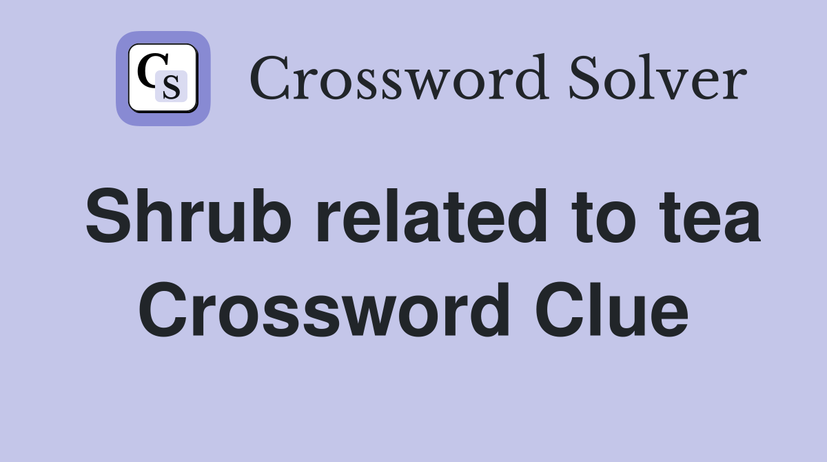 Shrub related to tea Crossword Clue